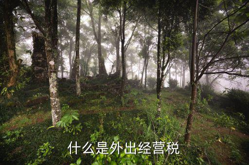 什么是外出經(jīng)營，什么情況屬于外出經(jīng)營