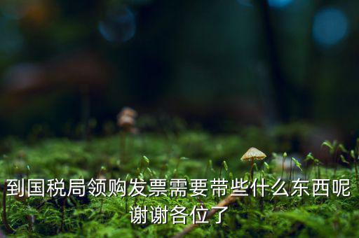國稅局領(lǐng)票帶什么東西，去稅務(wù)局領(lǐng)發(fā)票需要帶什么資料去