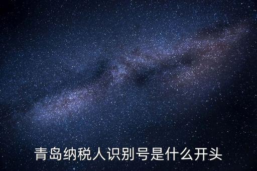 納稅人識(shí)別號(hào)什么開頭，納稅人識(shí)別號(hào)330100開頭的是哪個(gè)地方的