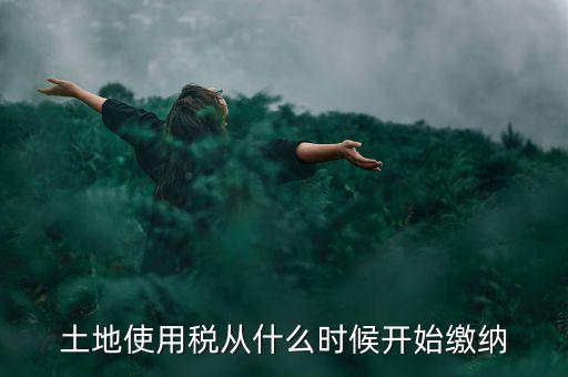 城鎮(zhèn)土地使用稅什么時(shí)候交，房地產(chǎn)開發(fā)企業(yè)繳納城鎮(zhèn)土地使用稅的時(shí)間是多久