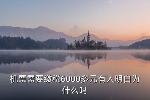 為什么國(guó)際機(jī)票要收稅，國(guó)際機(jī)票為什么要另外交稅費(fèi)