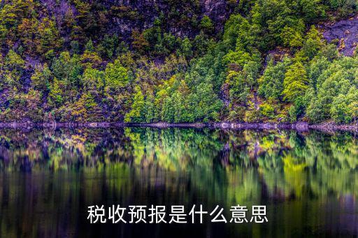 稅收預(yù)測什么意思，稅收分析和稅收預(yù)測是什么關(guān)系稅收分析預(yù)測制度 應(yīng)該怎么從哪方面