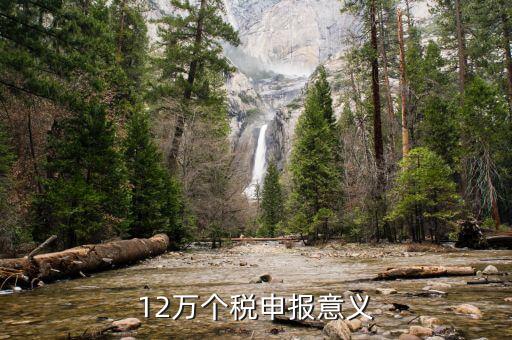 12萬為什么個(gè)稅申報(bào)表，12萬以上個(gè)人所得稅申報(bào)是什么意思