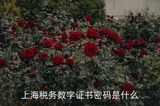 稅務數(shù)字證書密碼是什么，稅務密鑰是什么東西是數(shù)字證書嗎