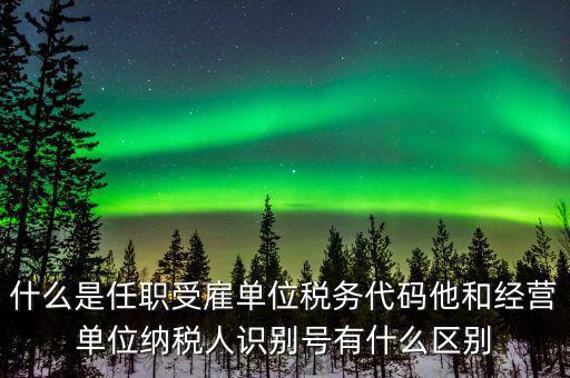 報稅自然人識別號是什么，個稅申報顯示存在相同唯一識別號是什么意思