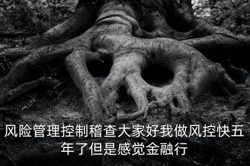稽查風險管控是什么意思，股票中1風險提示 違規(guī)稽查是什么意思