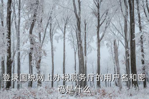 什么是電子稅務(wù)局登錄賬號，登錄國稅網(wǎng)上辦稅服務(wù)廳的用戶名和密碼是什么