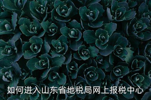 山東地稅密碼是什么，我在山東地稅網(wǎng)上報(bào)稅密碼怎么查