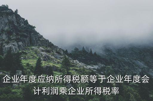企業(yè)年度應(yīng)納所得稅額等于企業(yè)年度會計利潤乘企業(yè)所得稅率