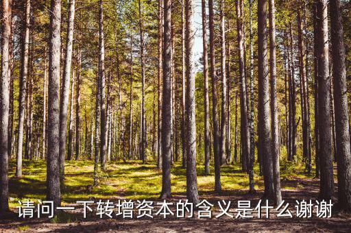 什么是利潤(rùn)轉(zhuǎn)增資，什么叫轉(zhuǎn)增資本通俗一點(diǎn)越白話越好