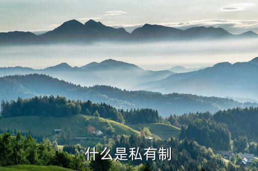 什么是特許權(quán)，什么是私有制