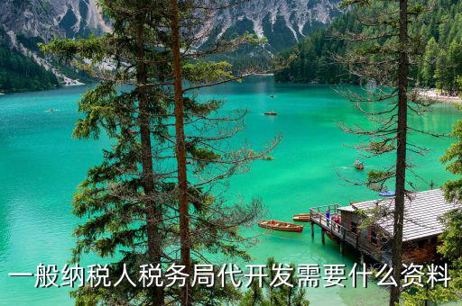 稅務(wù)局代開發(fā)需要什么資料，要到稅務(wù)局代開發(fā)票需我?guī)б裁促Y料