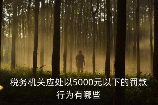 稅務機關應處以5000元以下的罰款行為有哪些