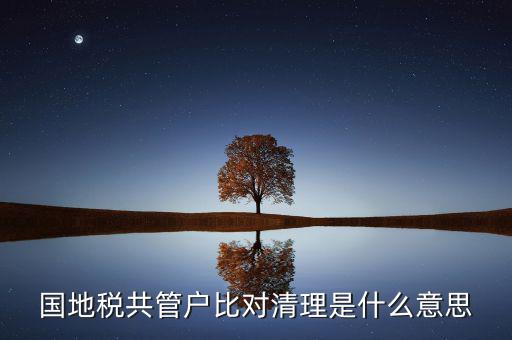 什么是國地稅共管，國稅地稅共管公司都需要每個月報稅嗎意思就是說我每個月地稅