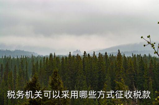 稅務局按什么征收稅務，稅務機關可以采用哪些方式征收稅款