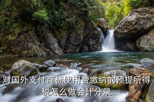 對(duì)國外支付商標(biāo)使用費(fèi)繳納的預(yù)提所得稅怎么做會(huì)計(jì)分錄