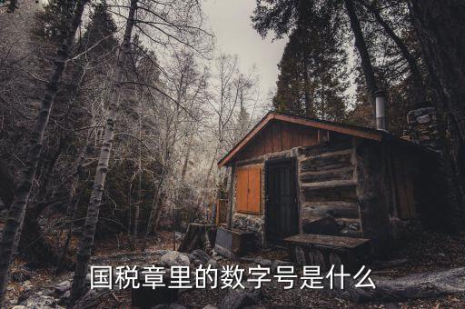 發(fā)票章中間數字是什么，國稅章里的數字號是什么