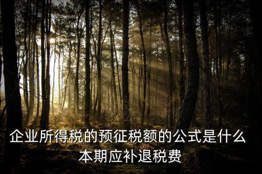 企業(yè)所得稅的預征稅額的公式是什么 本期應補退稅費