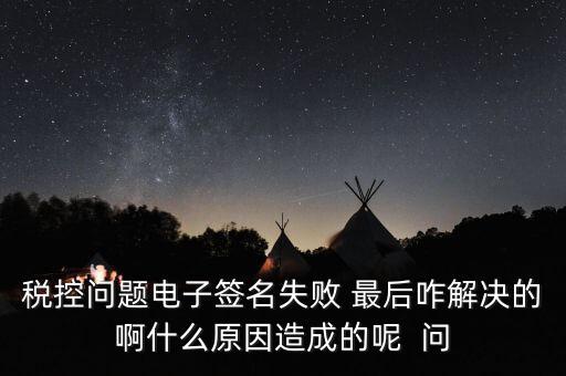 什么是稅控簽名，報稅時數(shù)字簽名是甚么意思