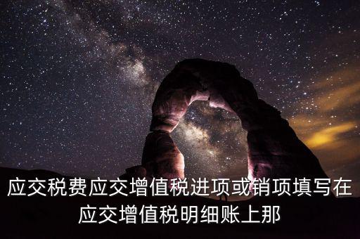 扣繳稅款登記填什么稅，在個人所得稅代扣代繳軟件中所要填寫的稅務(wù)登記號是填國稅的還是地