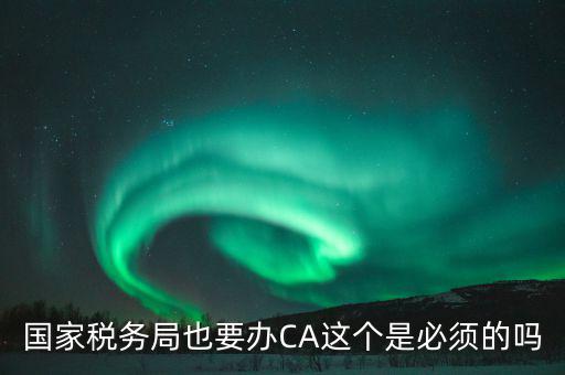 國稅ca是什么意思，短信提示我使用的國稅ca過期了什么個意思