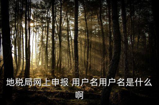 地稅局網(wǎng)上申報 用戶名用戶名是什么啊