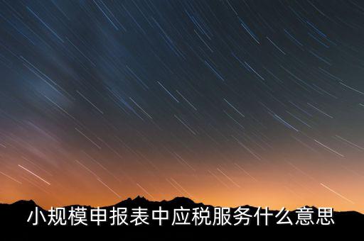 納稅服務(wù)是指什么意思，納稅服務(wù)股具體是做什么啊