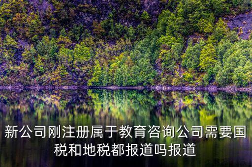 教育咨詢納什么稅，請(qǐng)問從教育事業(yè)的公司要納稅嗎