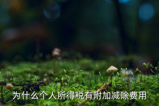 個稅減除費(fèi)用是什么，個人所得稅費(fèi)用扣除什么意思