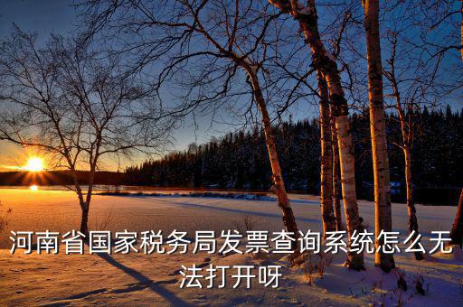 河南一體化辦稅為什么辦不成，河南省國家稅務(wù)局發(fā)票查詢系統(tǒng)怎么無法打開呀