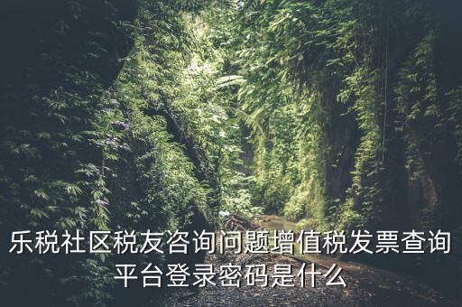 發(fā)票認(rèn)證平臺登陸密碼是什么，國稅局發(fā)票軟件里用戶代碼和密碼是什么