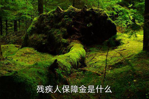 什么叫殘疾人就業(yè)保障金，殘疾人就業(yè)保障金