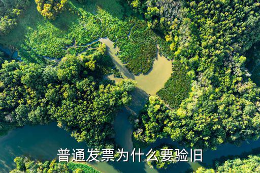 普票驗(yàn)舊驗(yàn)什么，發(fā)票驗(yàn)舊是什么意思