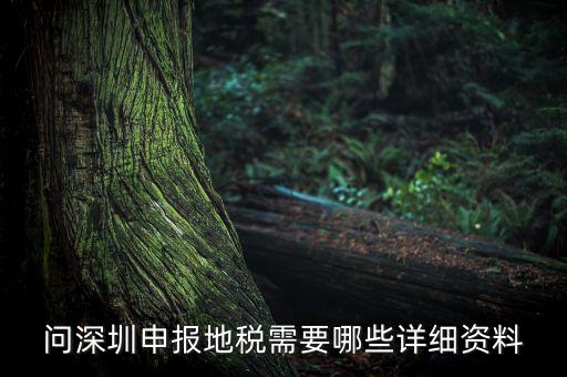 深圳市的地稅申報(bào)是什么，深圳市地稅怎么申報(bào)