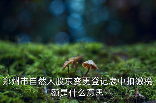 扣繳稅款登記是什么意思，應(yīng)當(dāng)按照稅收征管法等有關(guān)規(guī)定辦理扣繳稅款登記領(lǐng)取扣繳憑
