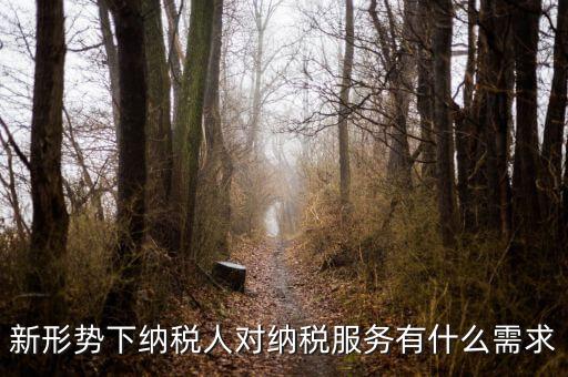 納稅服務(wù)的要求是什么，新形勢下納稅人對(duì)納稅服務(wù)有什么需求