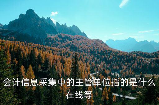 主管征收機(jī)關(guān)填什么，會(huì)計(jì)信息采集中的主管單位指的是什么在線等