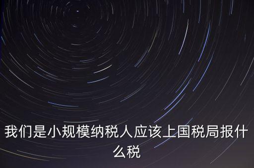 小規(guī)模要報(bào)什么稅，我想問(wèn)問(wèn)小規(guī)模納稅人報(bào)稅需要報(bào)些什么