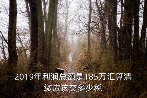 匯算清繳交什么稅，年度匯算清繳應(yīng)交稅率是多少