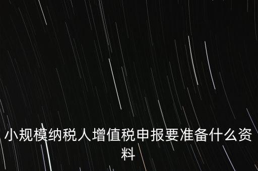 小規(guī)模報(bào)稅需要帶什么，小規(guī)模納稅人增值稅申報(bào)要準(zhǔn)備什么資料