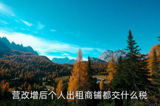 個(gè)人出租商鋪交什么稅，個(gè)人出租商鋪需要繳納什么稅