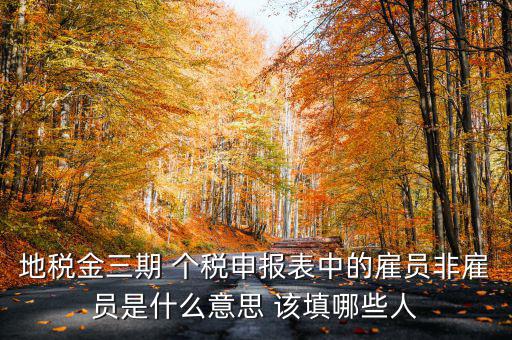 金稅四期是什么意思，地稅金三期 個(gè)稅申報(bào)表中的雇員非雇員是什么意思 該填哪些人
