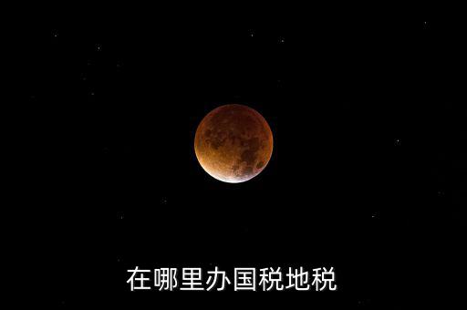 什么在地稅辦，在哪里辦國(guó)稅地稅