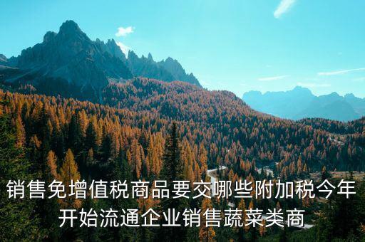 免稅商品銷(xiāo)售要交什么稅，銷(xiāo)售免增值稅商品要交哪些附加稅今年開(kāi)始流通企業(yè)銷(xiāo)售蔬菜類(lèi)商