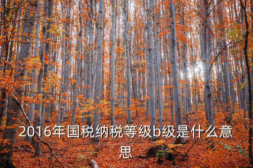 納稅信用等級評 什么用，企業(yè)納稅信用等級有何用處