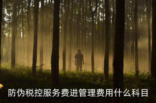 防偽稅控服務費是什么意思，繳納電子鑰匙的年費是防偽稅控服務費嗎