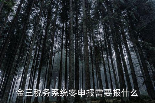 金三稅務(wù)系統(tǒng)零申報需要報什么