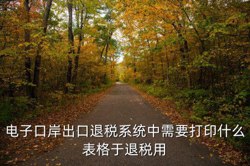 福建退稅備案的表格是什么樣的，出口退稅資格認定表