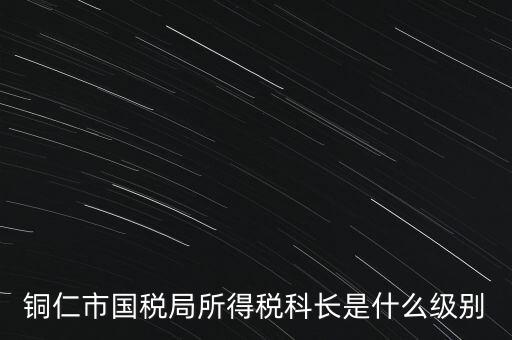 地稅局股長是什么級別，地稅里的職位 股長是什么級別