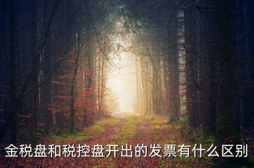 金稅盤和稅控盤是什么，金稅盤和稅控盤開出的發(fā)票有什么區(qū)別